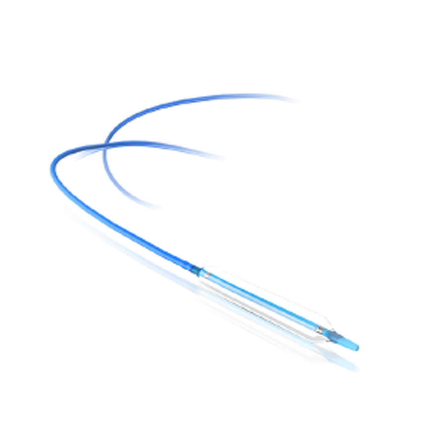 PTCA Balloon Catheter