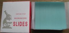 Microscope Glass Slides